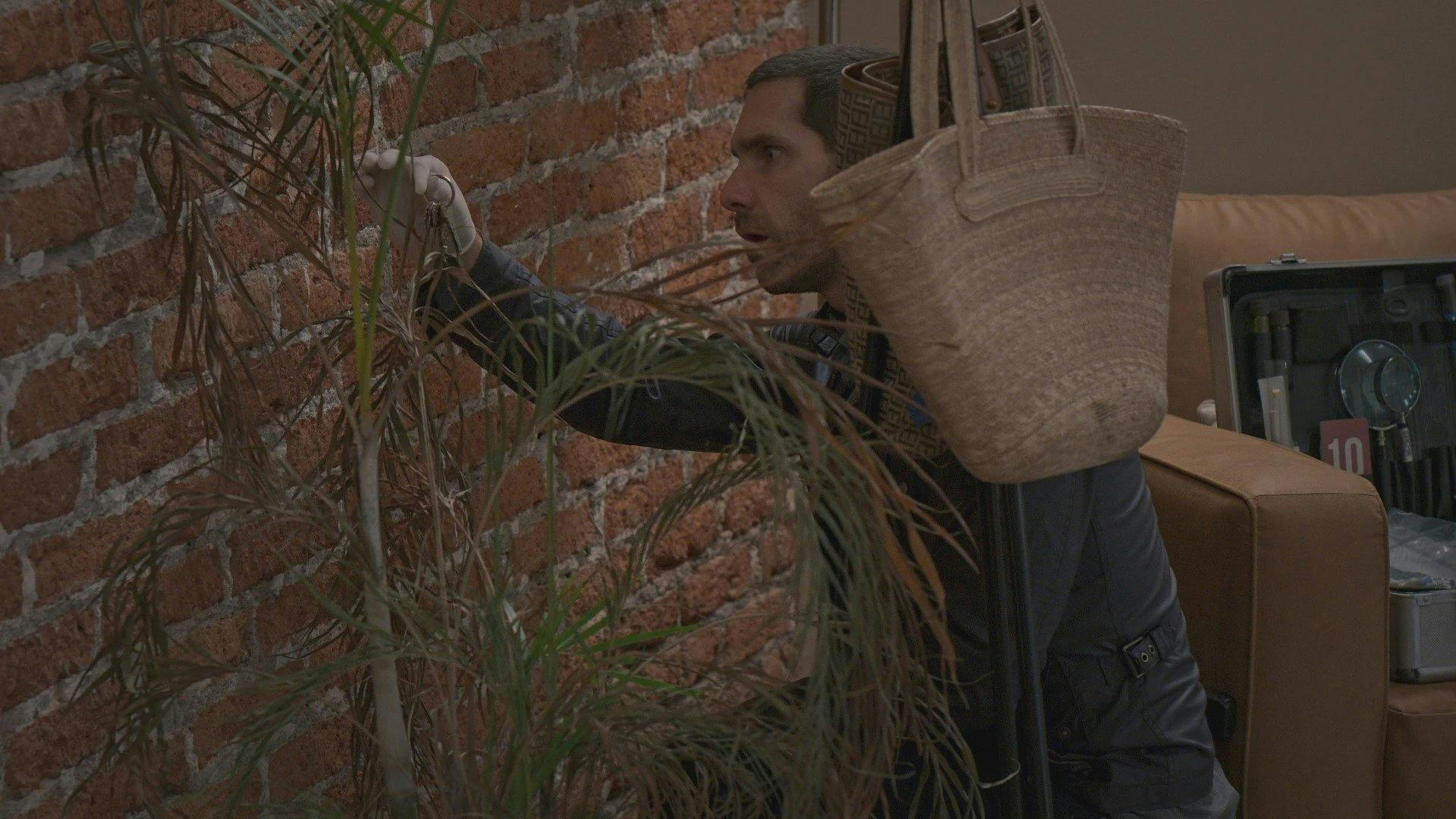 Buscando a Frida - episódio 1x77