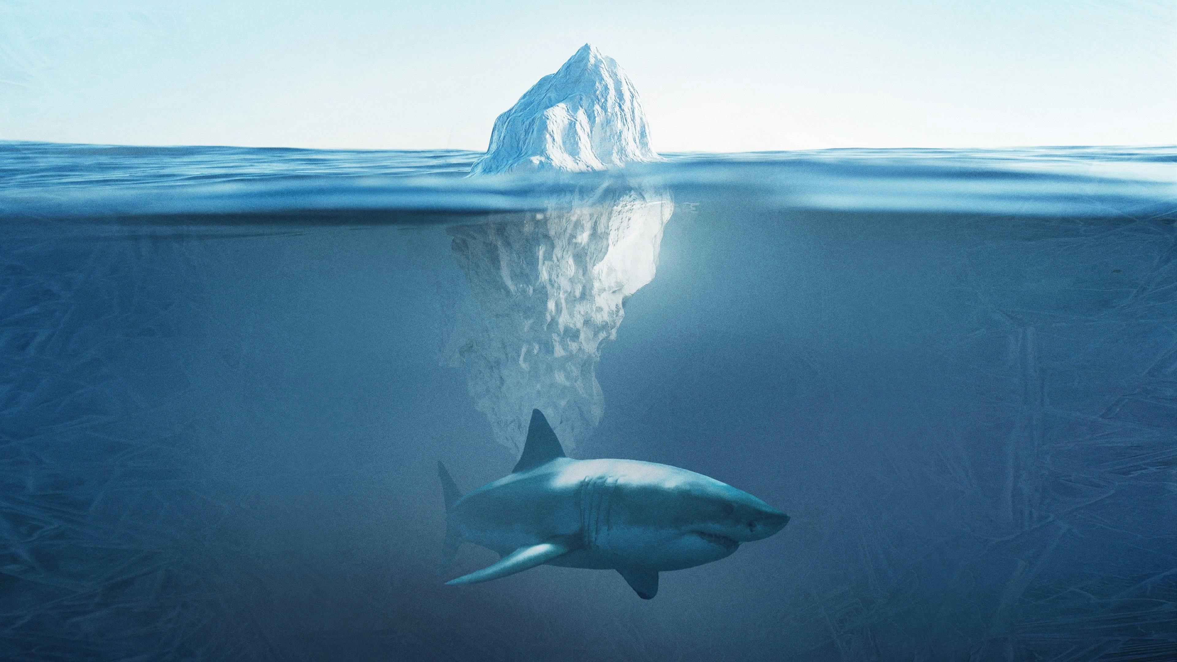 Shark Below Zero backdrop