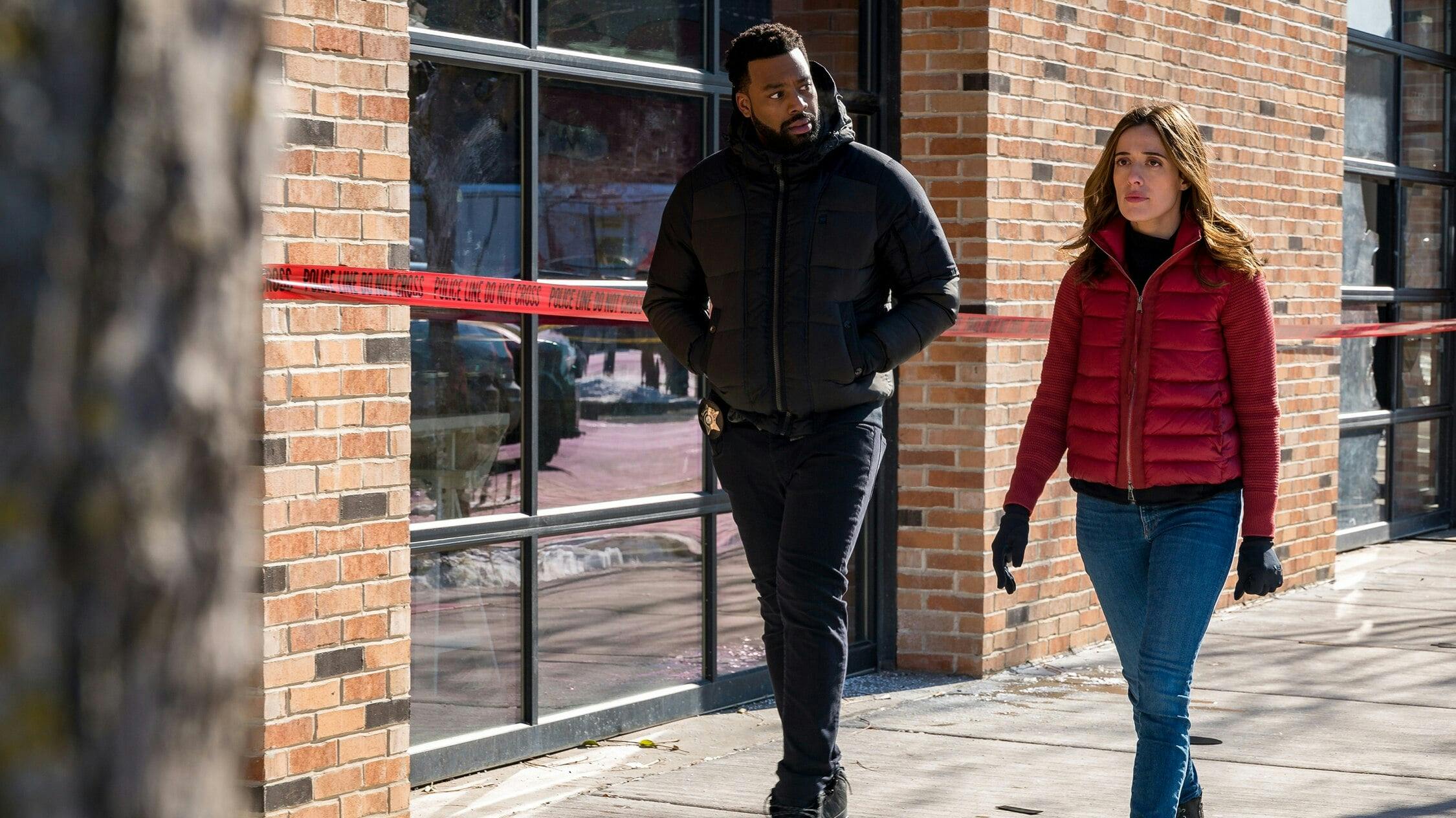 Chicago P.D.: Distrito 21 - episódio 7x11