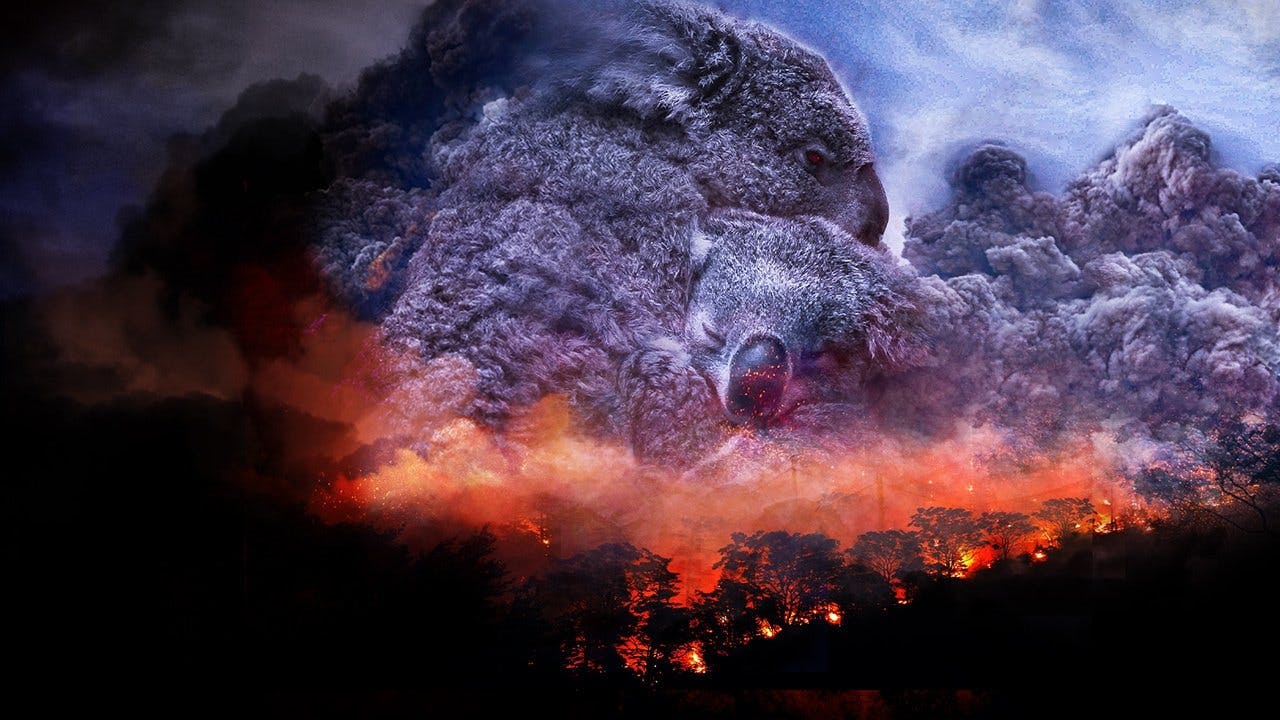 Depois dos Incêndios Florestais backdrop
