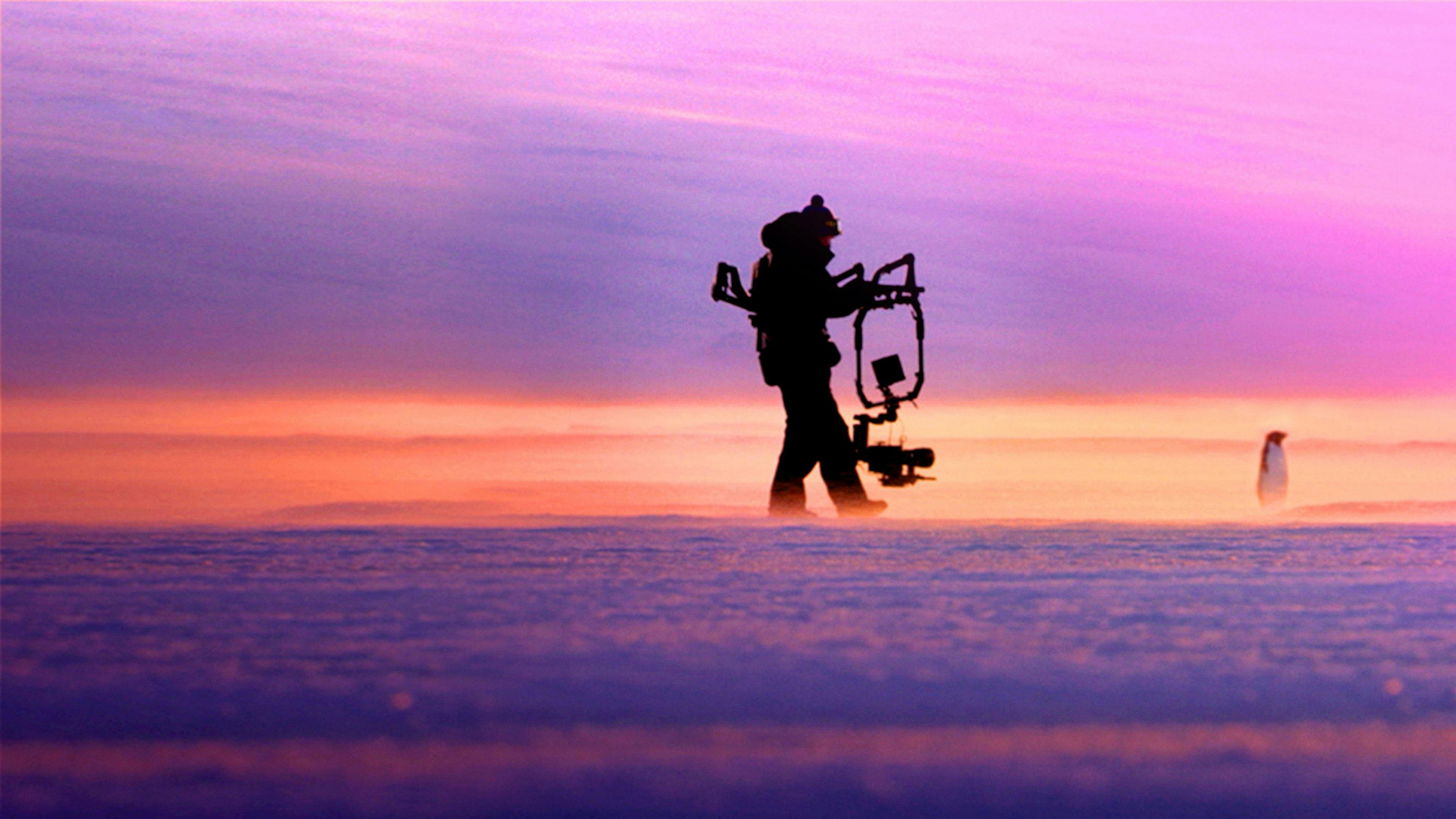 Pinguins: Vida ao Extremo backdrop