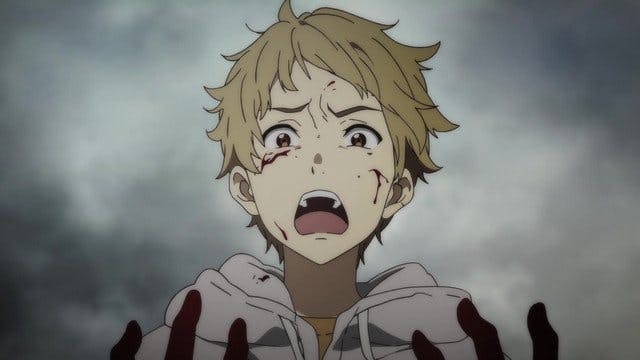Beyond the Boundary