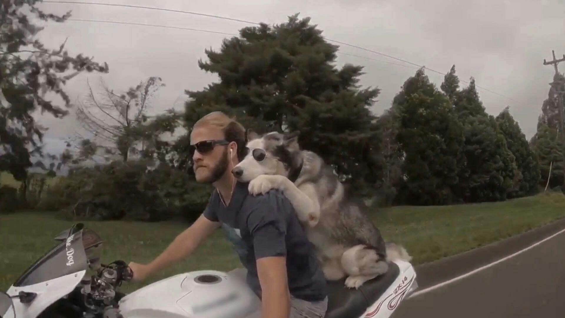 Guerra Entre Vizinhos backdrop