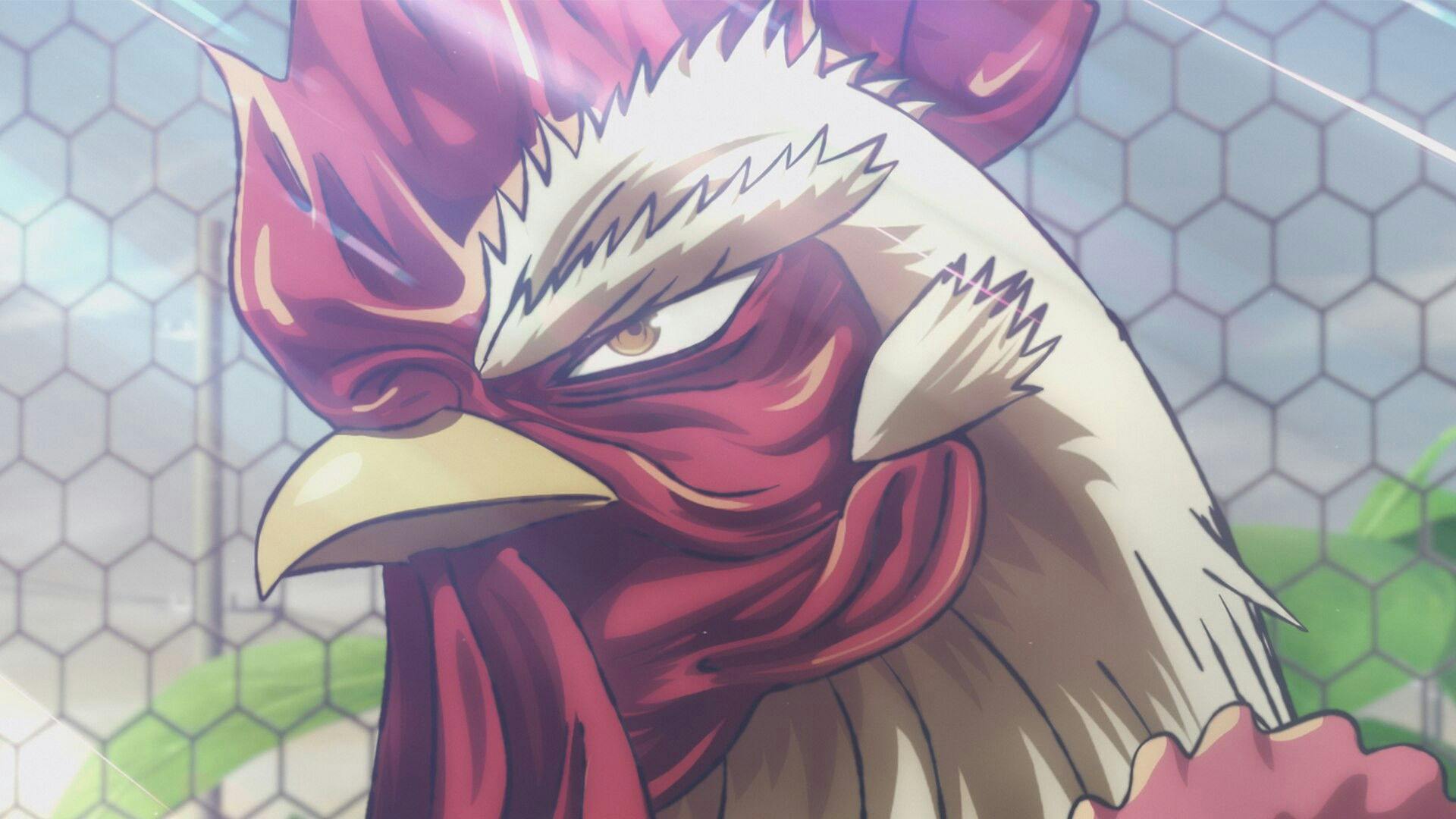 Rooster Fighter backdrop