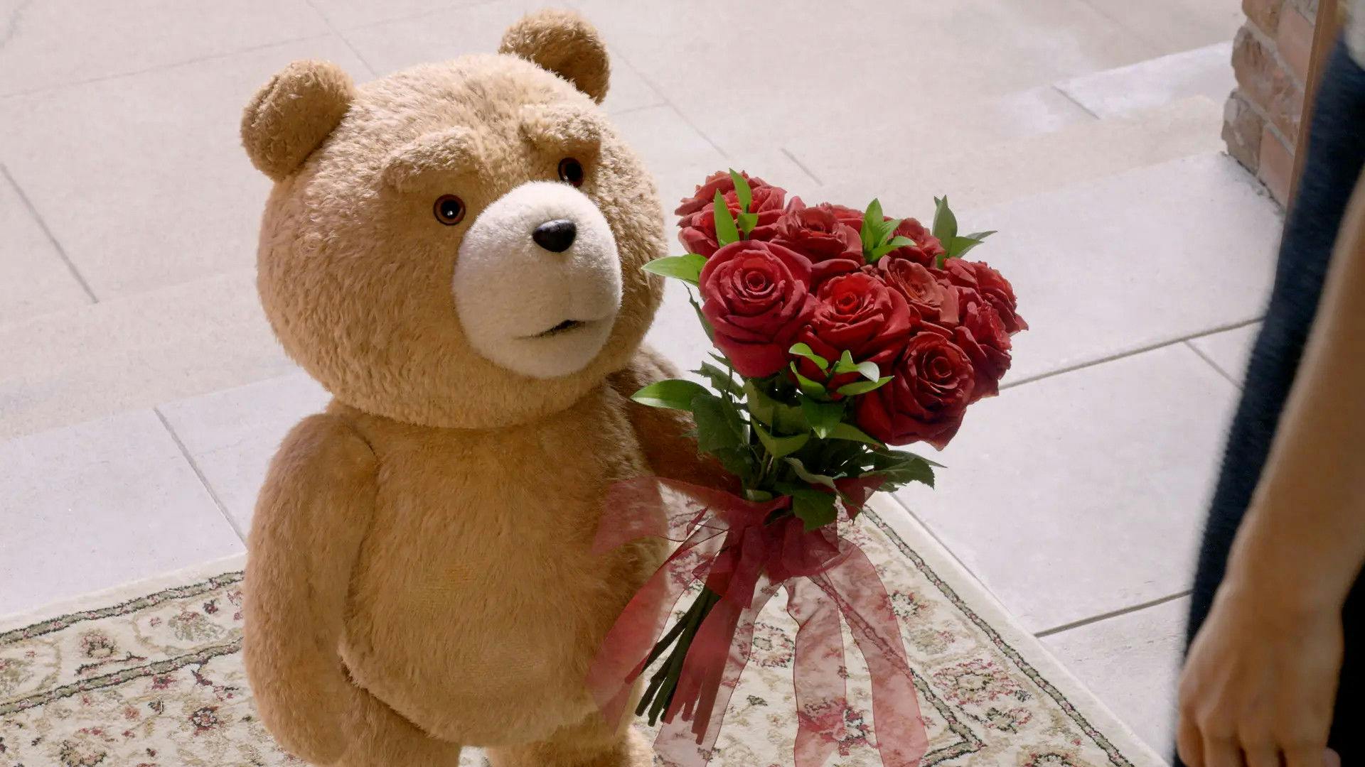 Ted - A Série backdrop