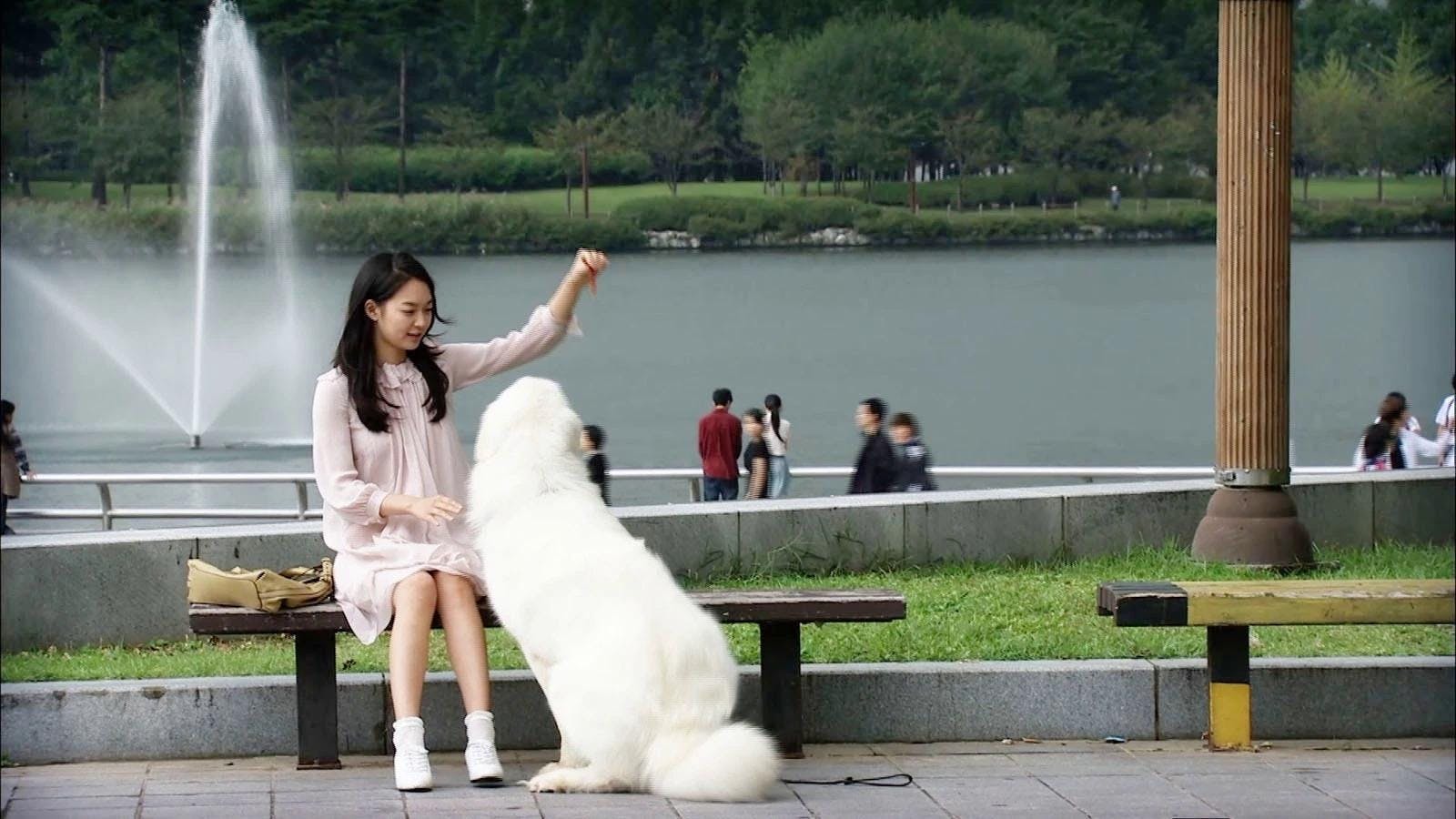 Minha Namorada é uma Gumiho - episódio 1x15