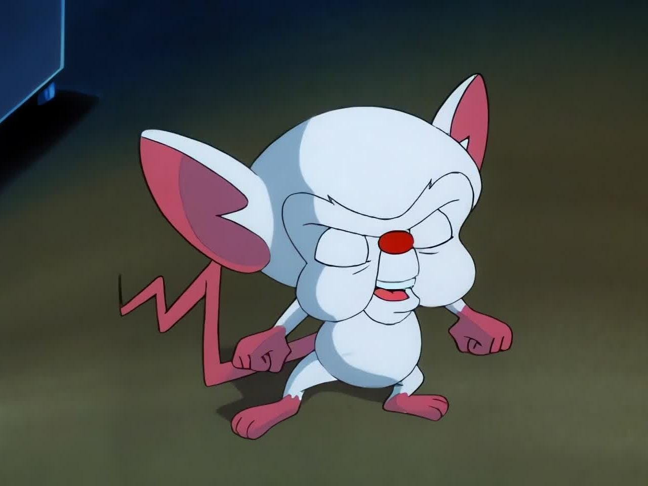 Pinky e o Cérebro