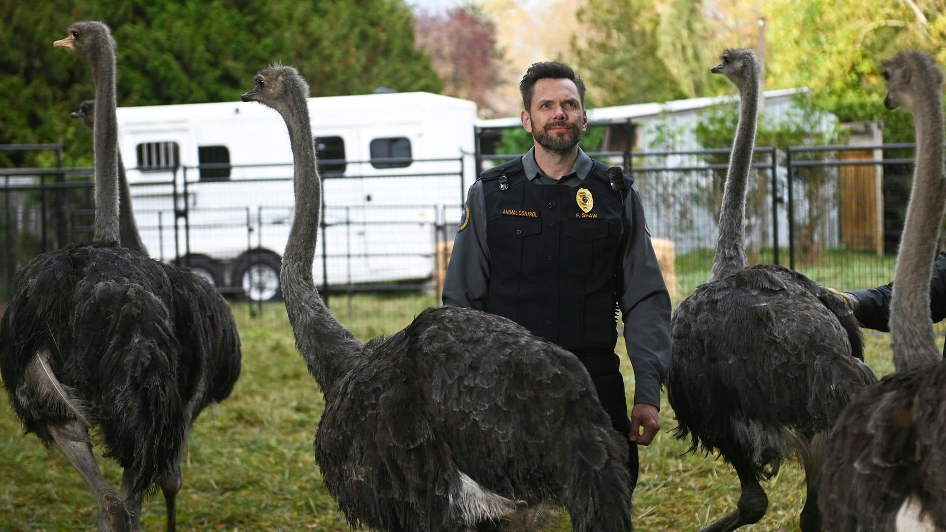 Animal Control - episódio 1x1