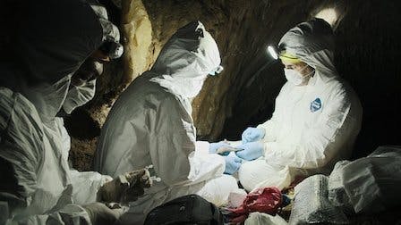 Pandemia - episódio 1x3