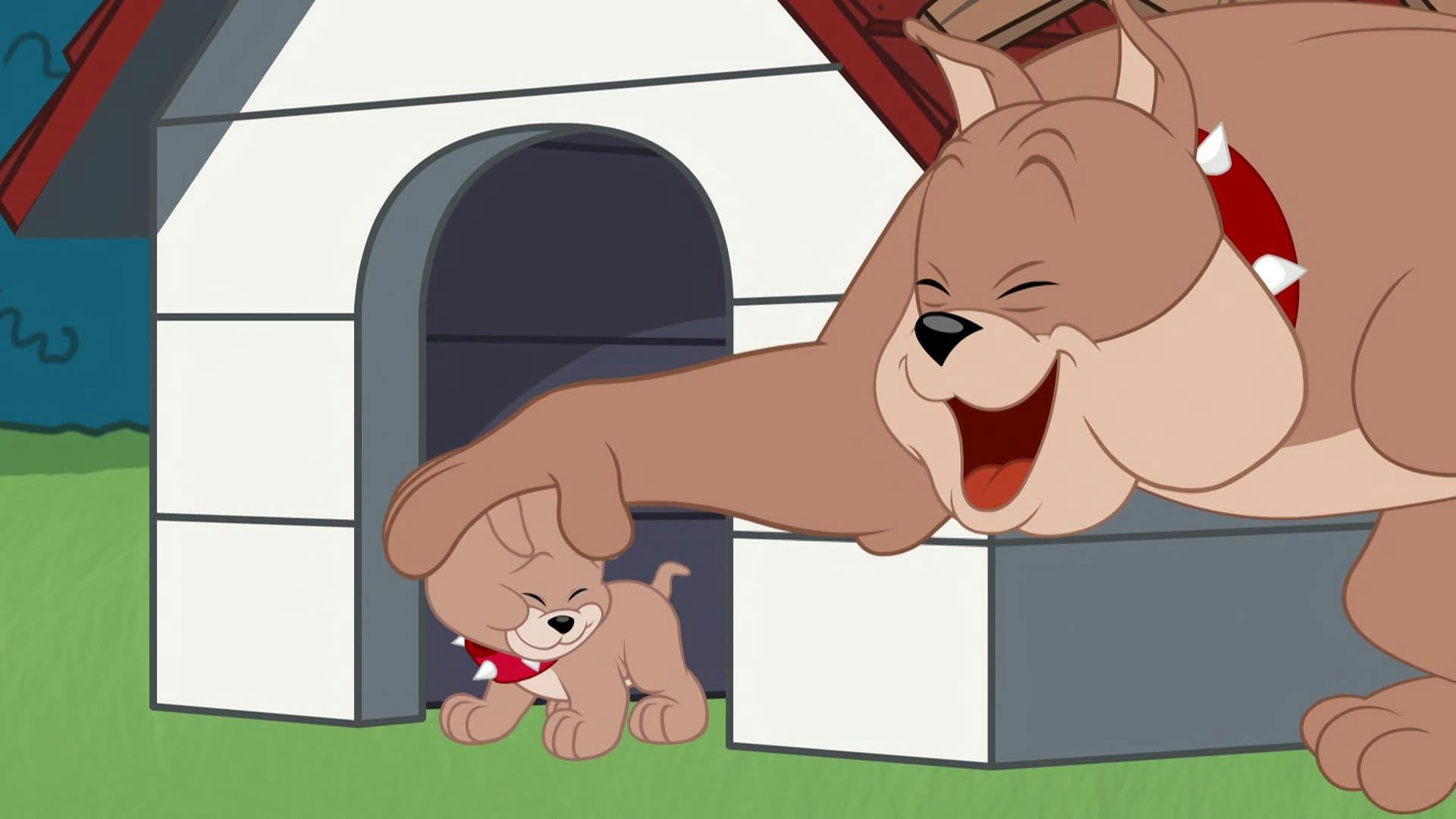 O Show de Tom e Jerry