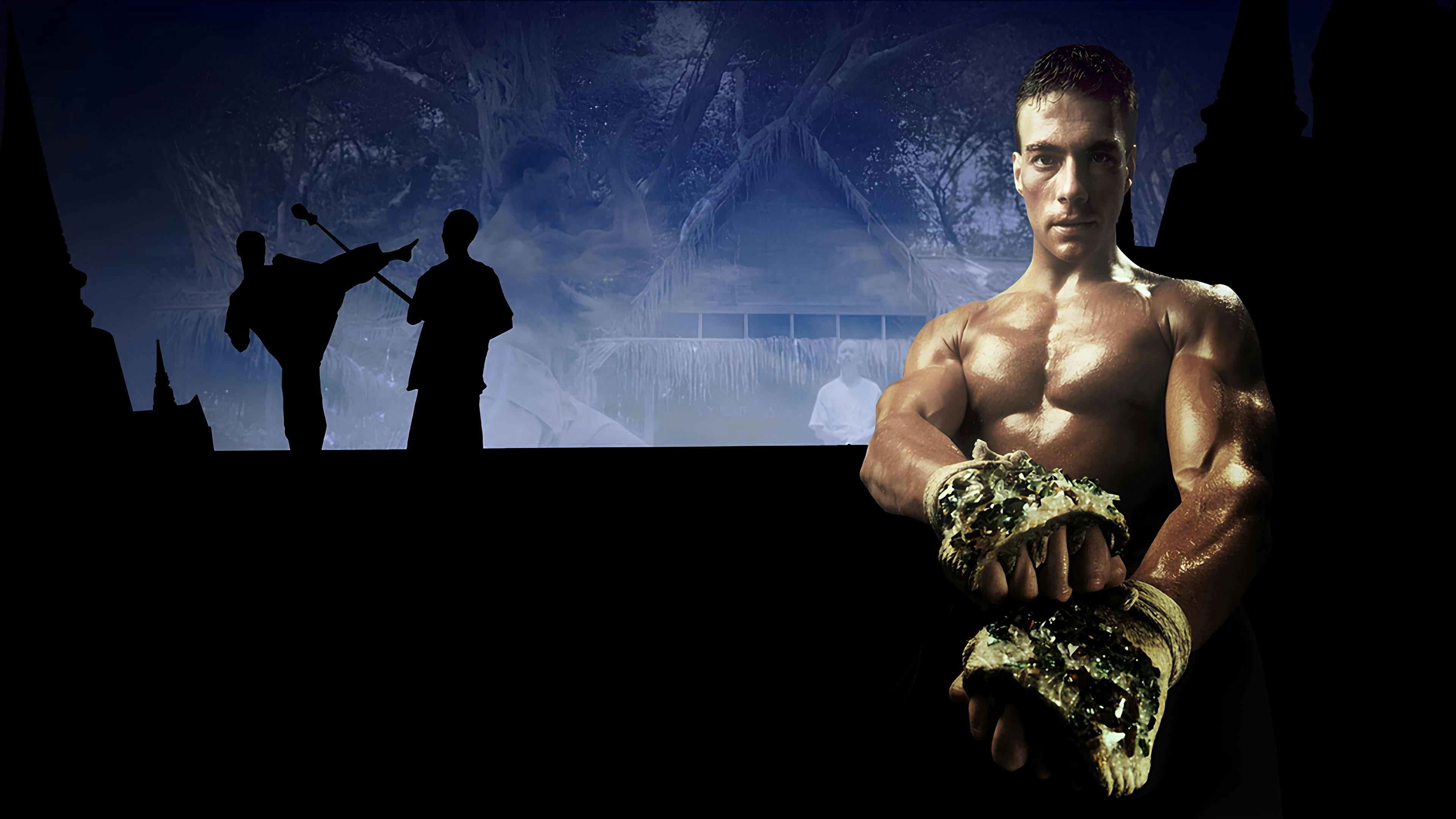 Kickboxer: O Desafio do Dragão backdrop