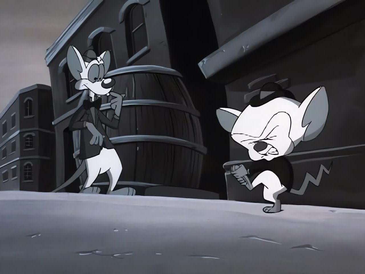 Pinky e o Cérebro