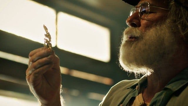 Fuzuê - episódio 1x102