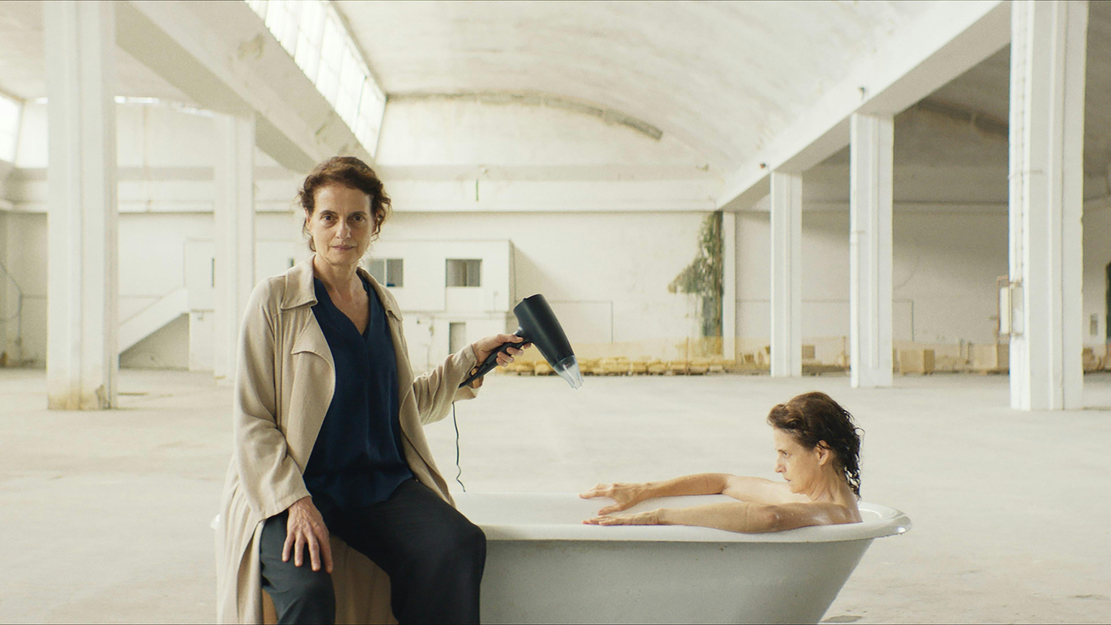 Sonhar com Leões backdrop