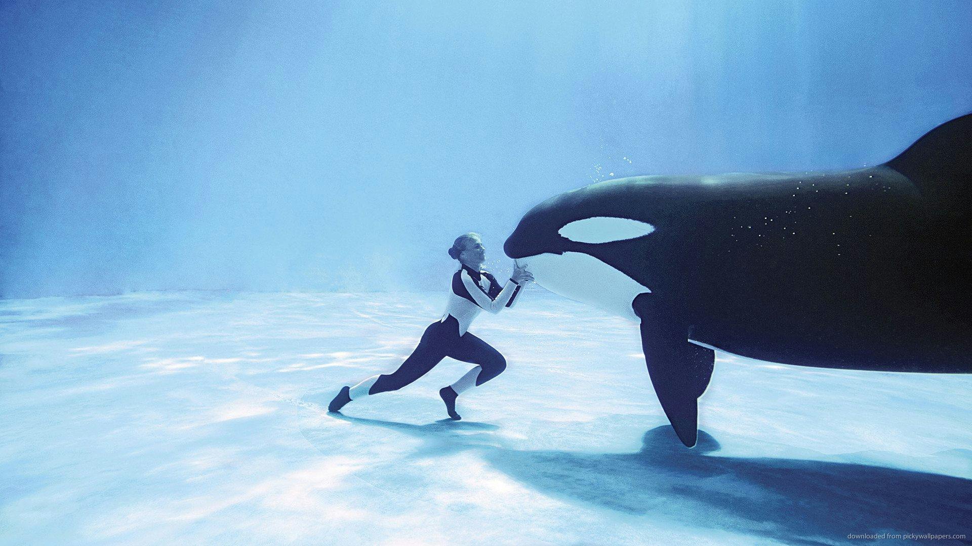 Blackfish: Fúria Animal backdrop