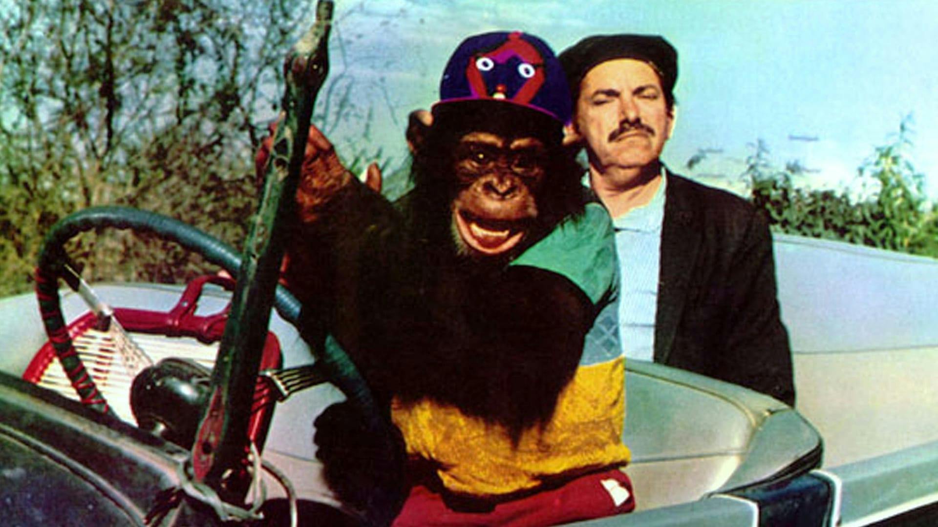 Betão Ronca Ferro backdrop