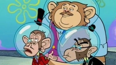 Olá Chimpanzés