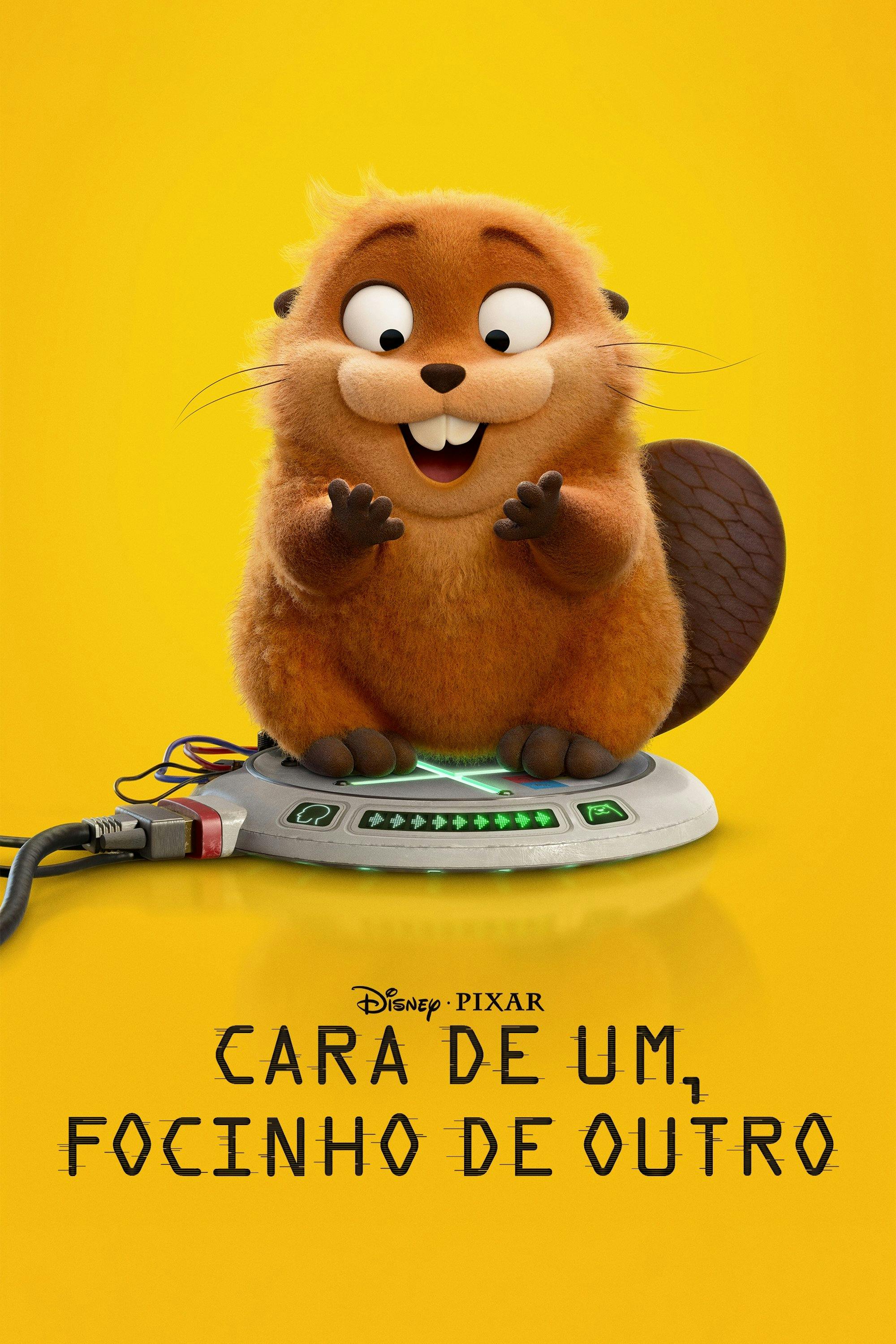 Cara de Um, Focinho de Outro poster