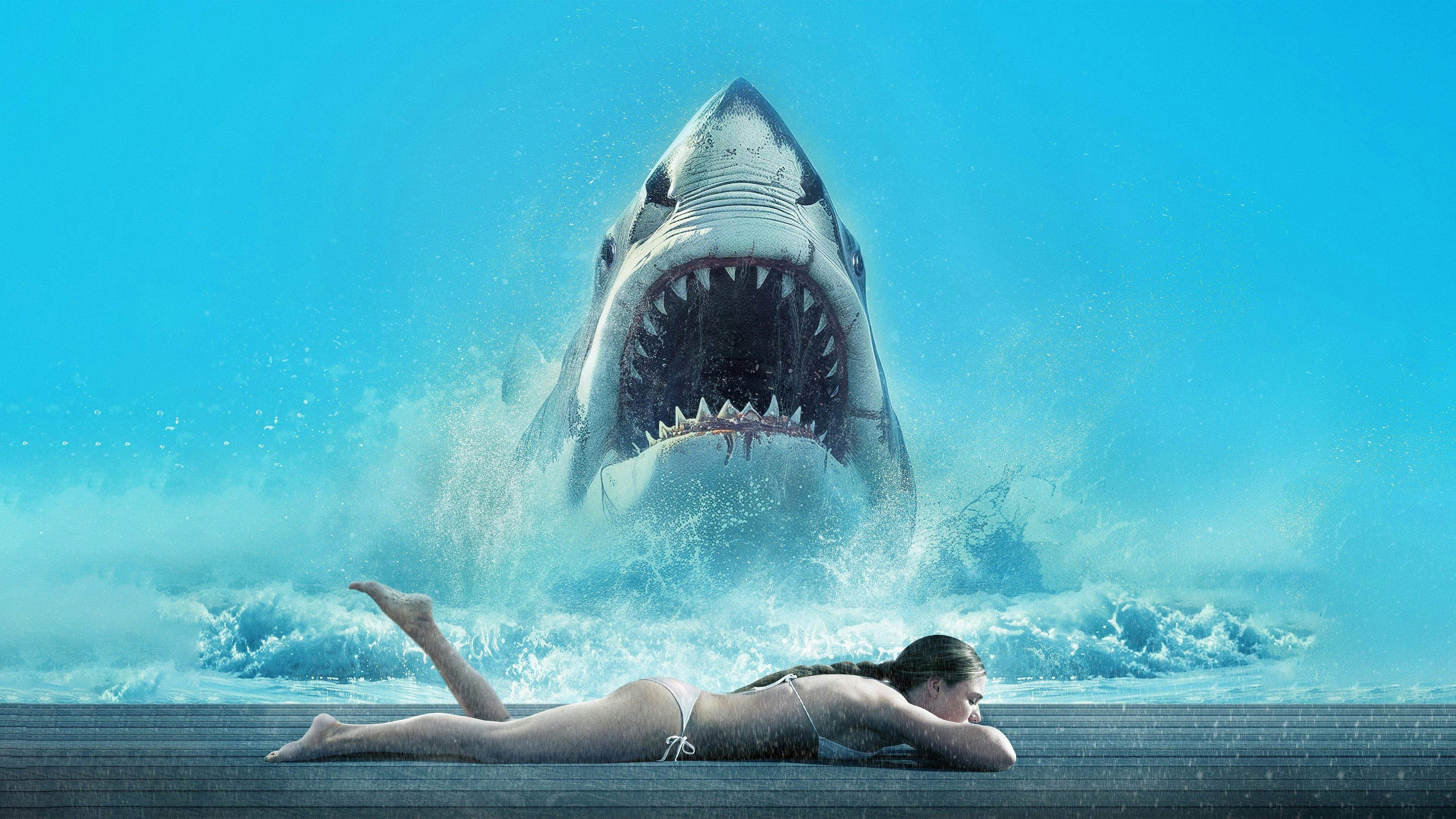 Shark Warning backdrop