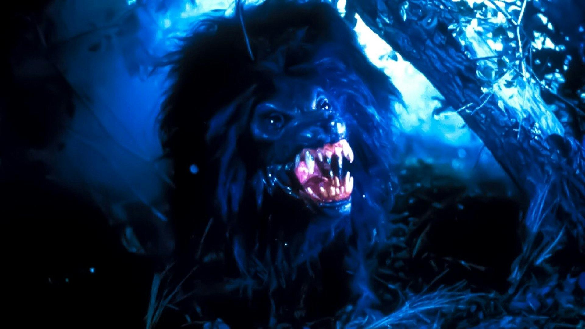 Grito de Horror 4: Um Arrepio na Noite backdrop