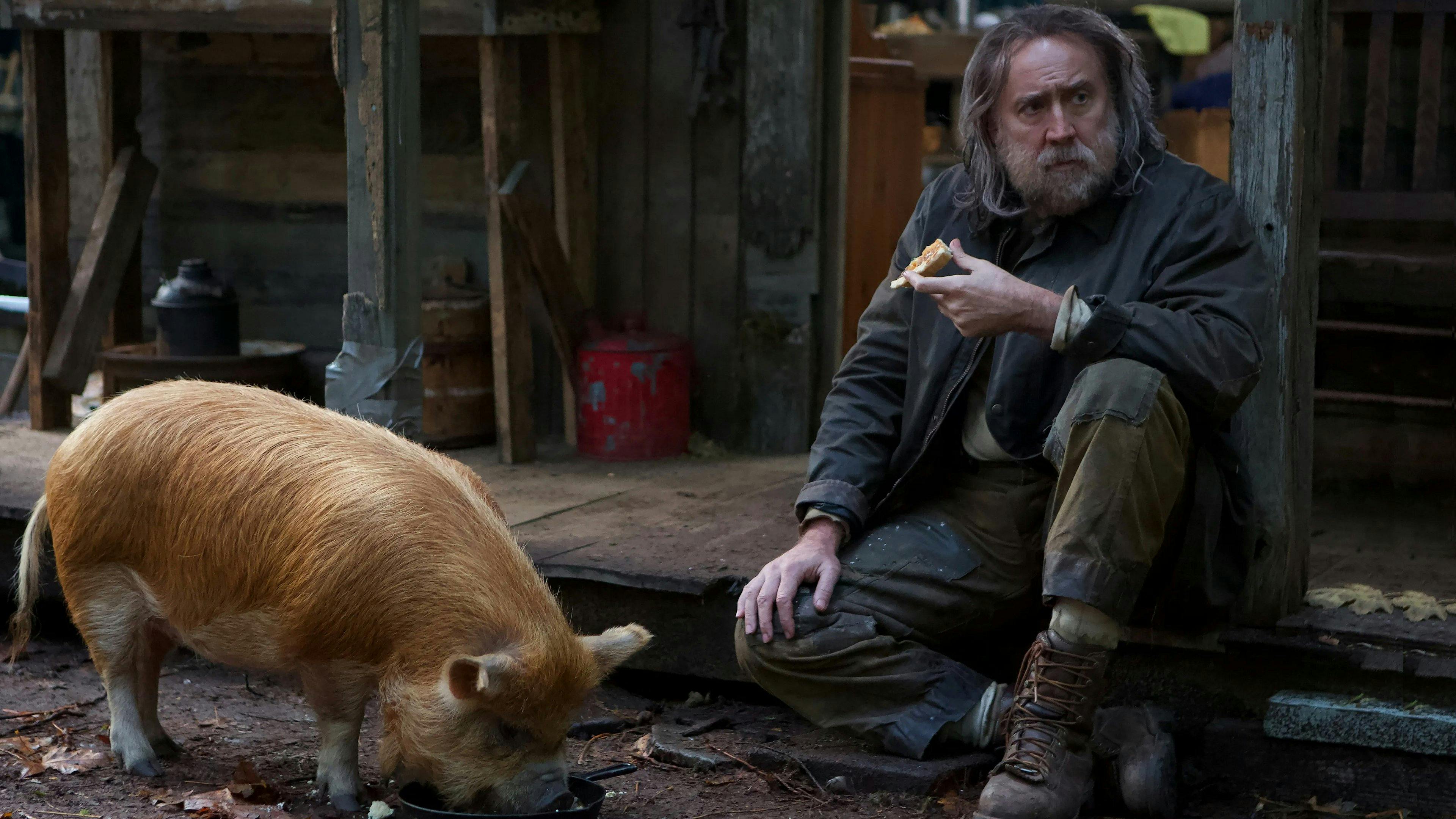 Pig: A Vingança backdrop
