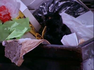 Sabrina, a Aprendiz de Feiticeira - episódio 1x11