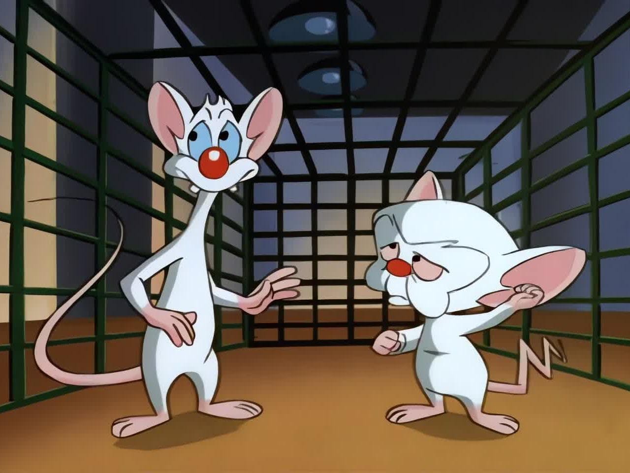 Pinky e o Cérebro