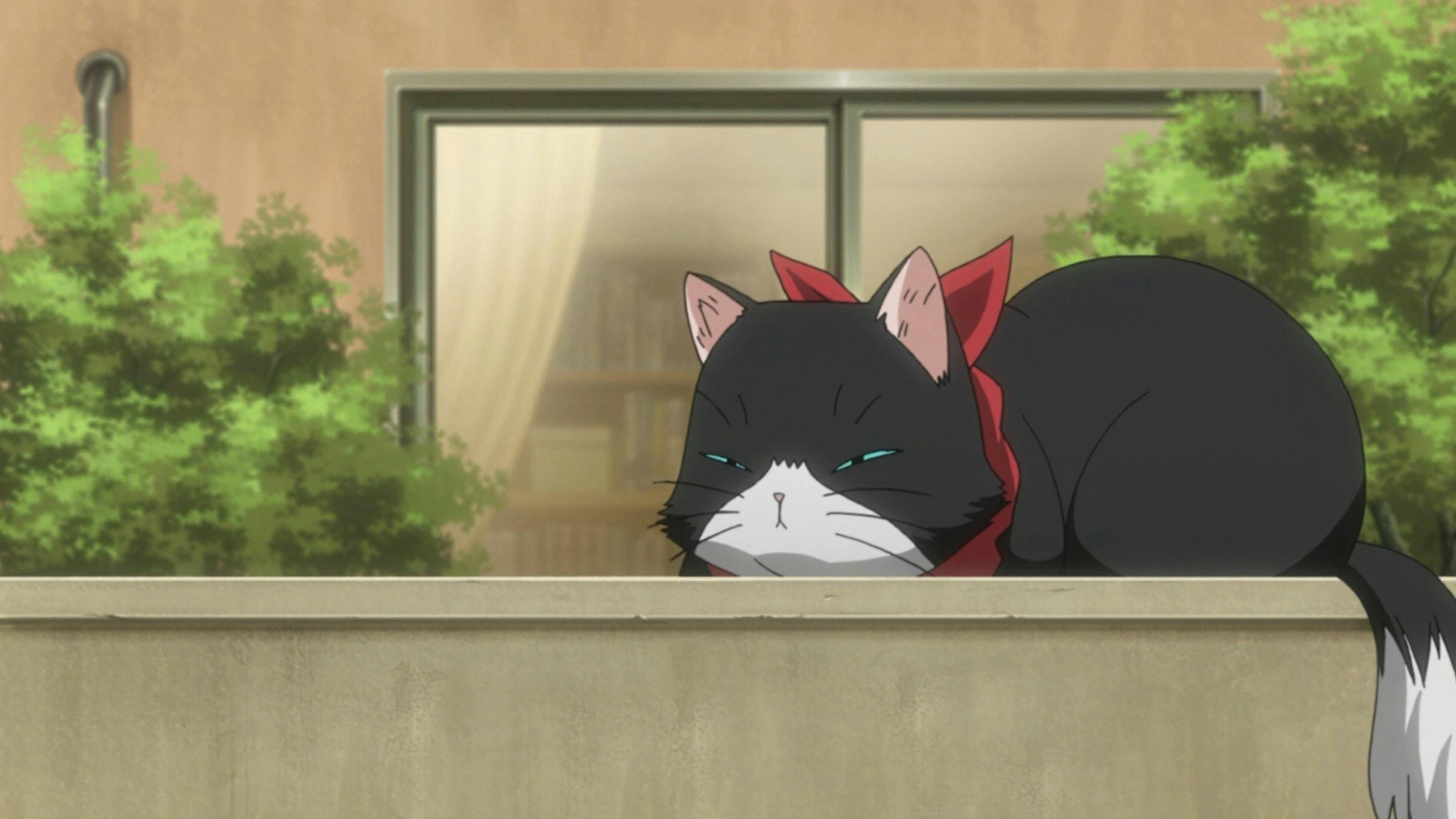 Nyan Koi! - episódio 1x11