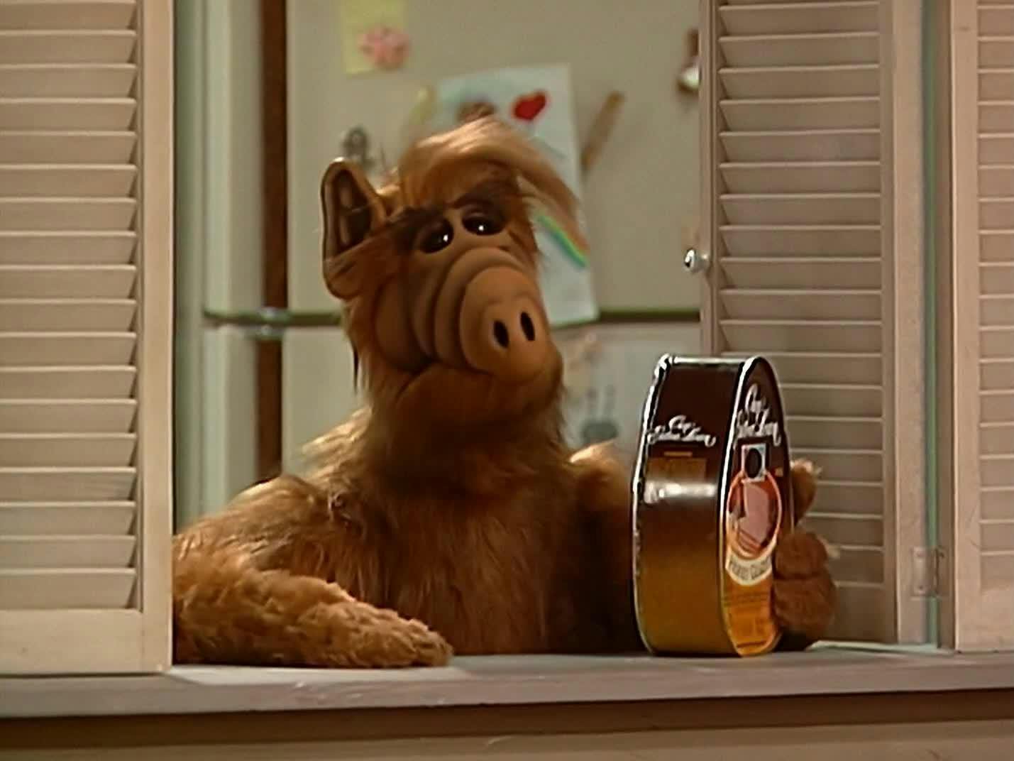 ALF, o ETeimoso - episódio 1x15