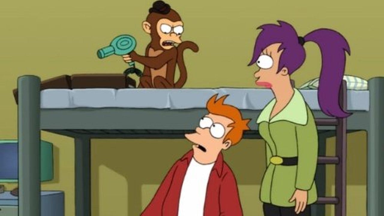 O macaco gênio