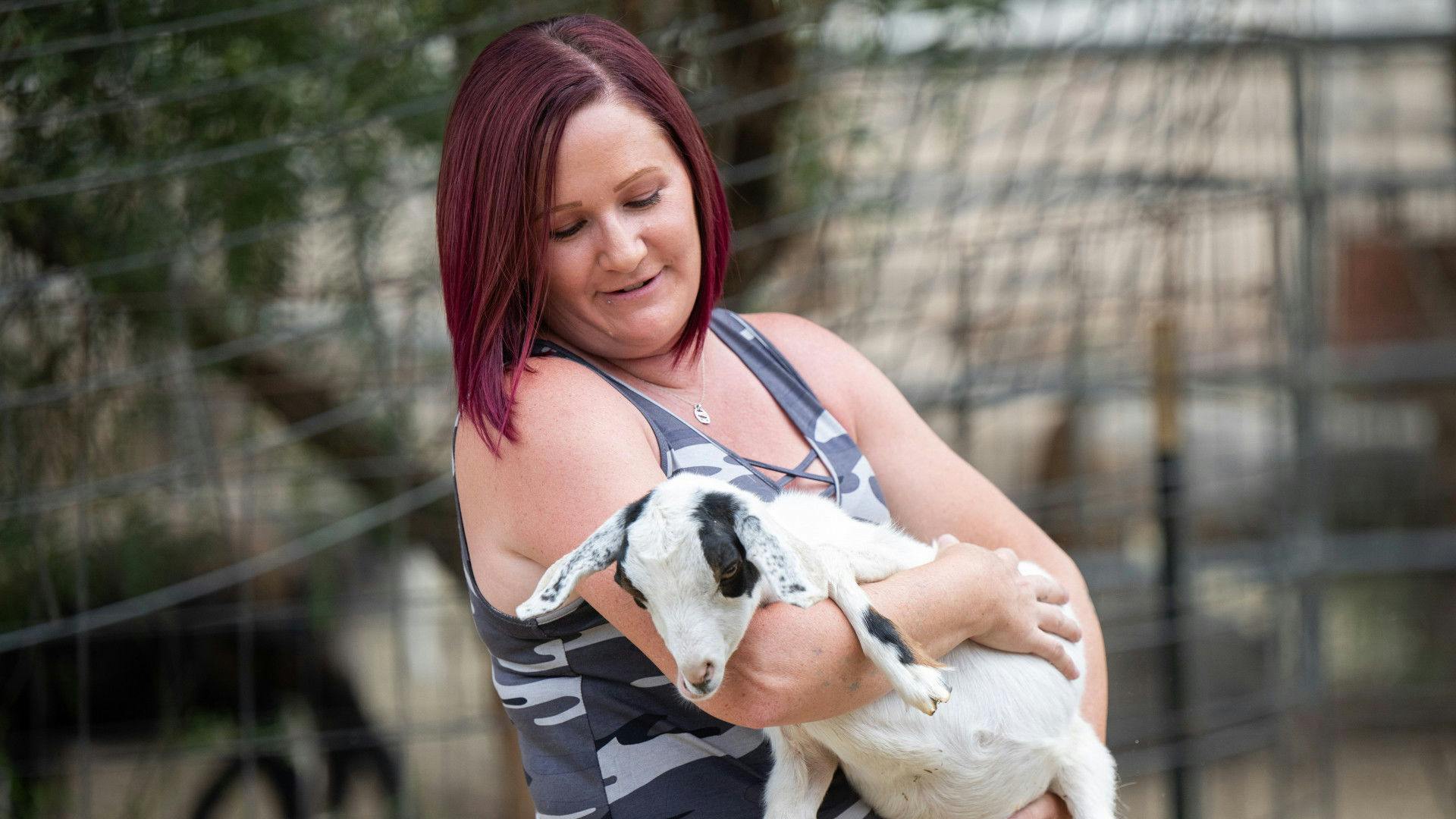 A Sonhada Casa de Campo backdrop