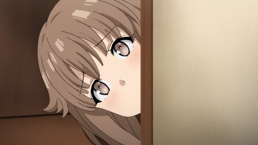 Rascal Does Not Dream of Bunny Girl Senpai - episódio 1x10