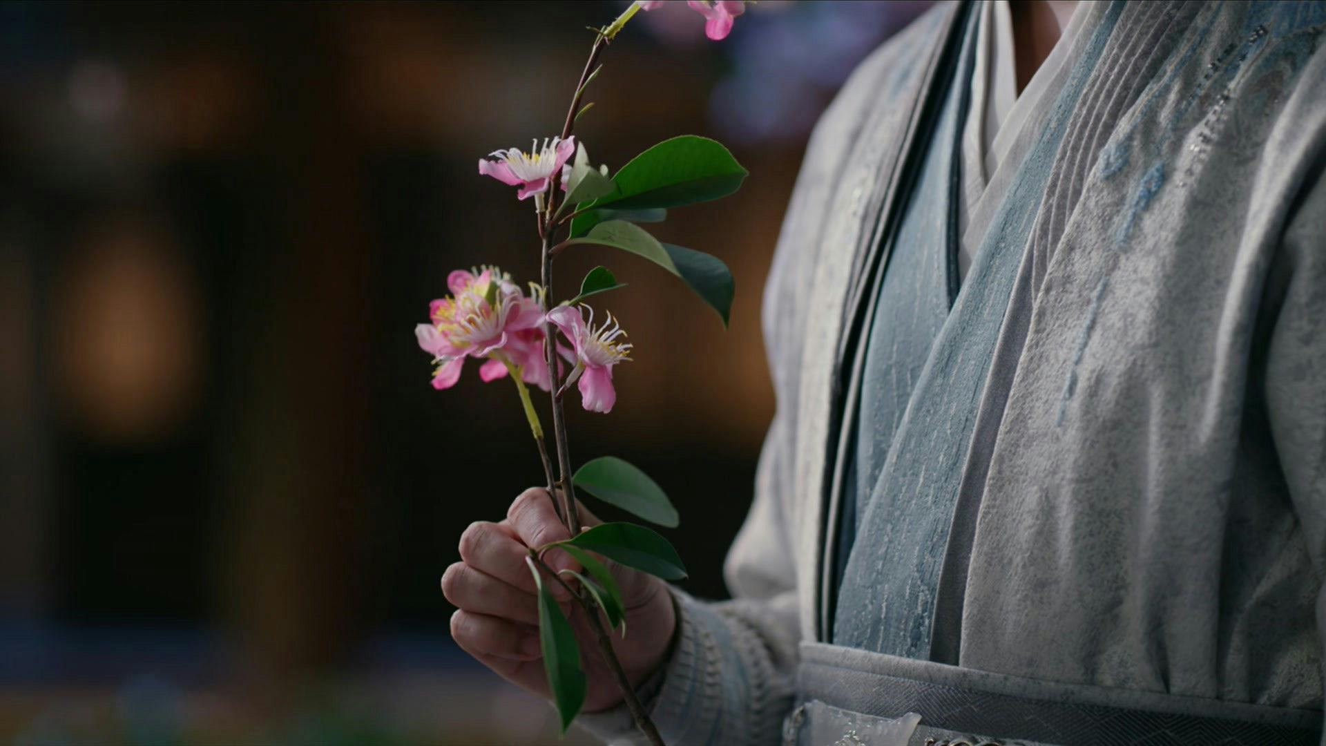 Luta pelo Amor backdrop