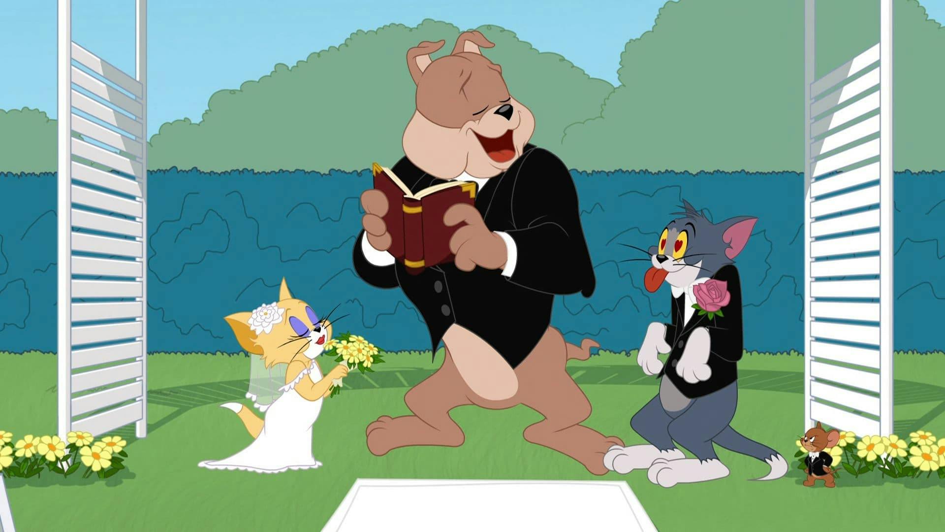 O Show de Tom e Jerry