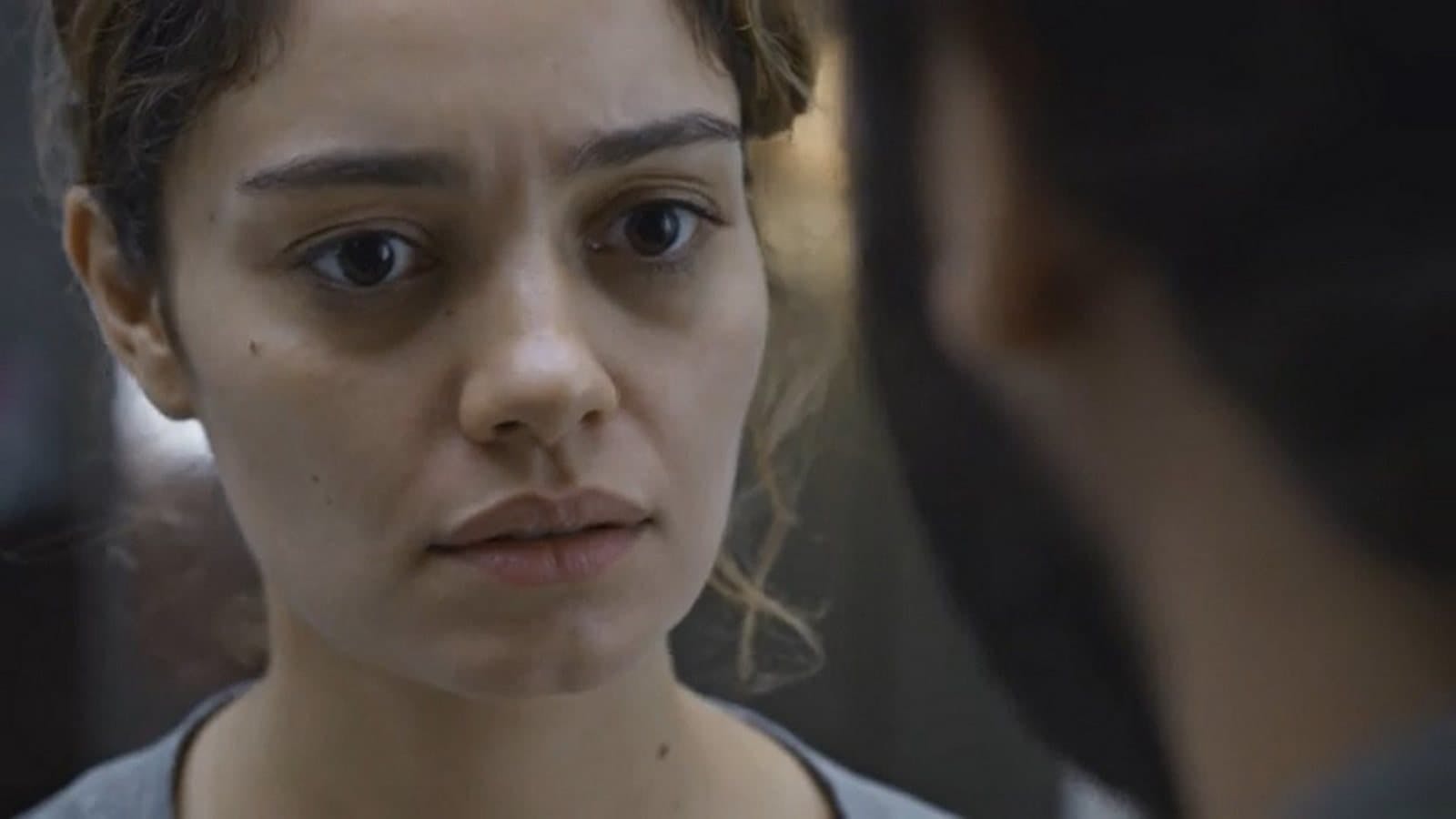Todas as Flores - episódio 1x41