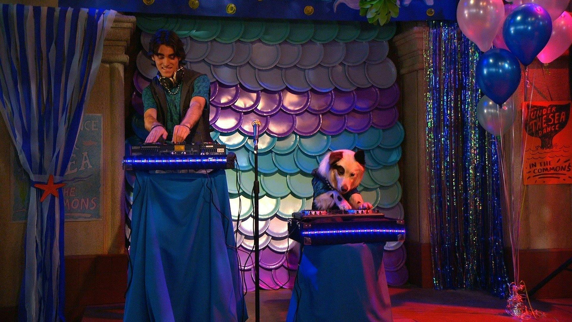 Stan, o Cão Blogueiro backdrop