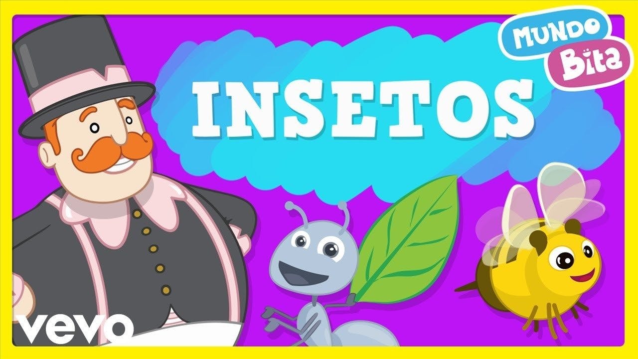 Insetos