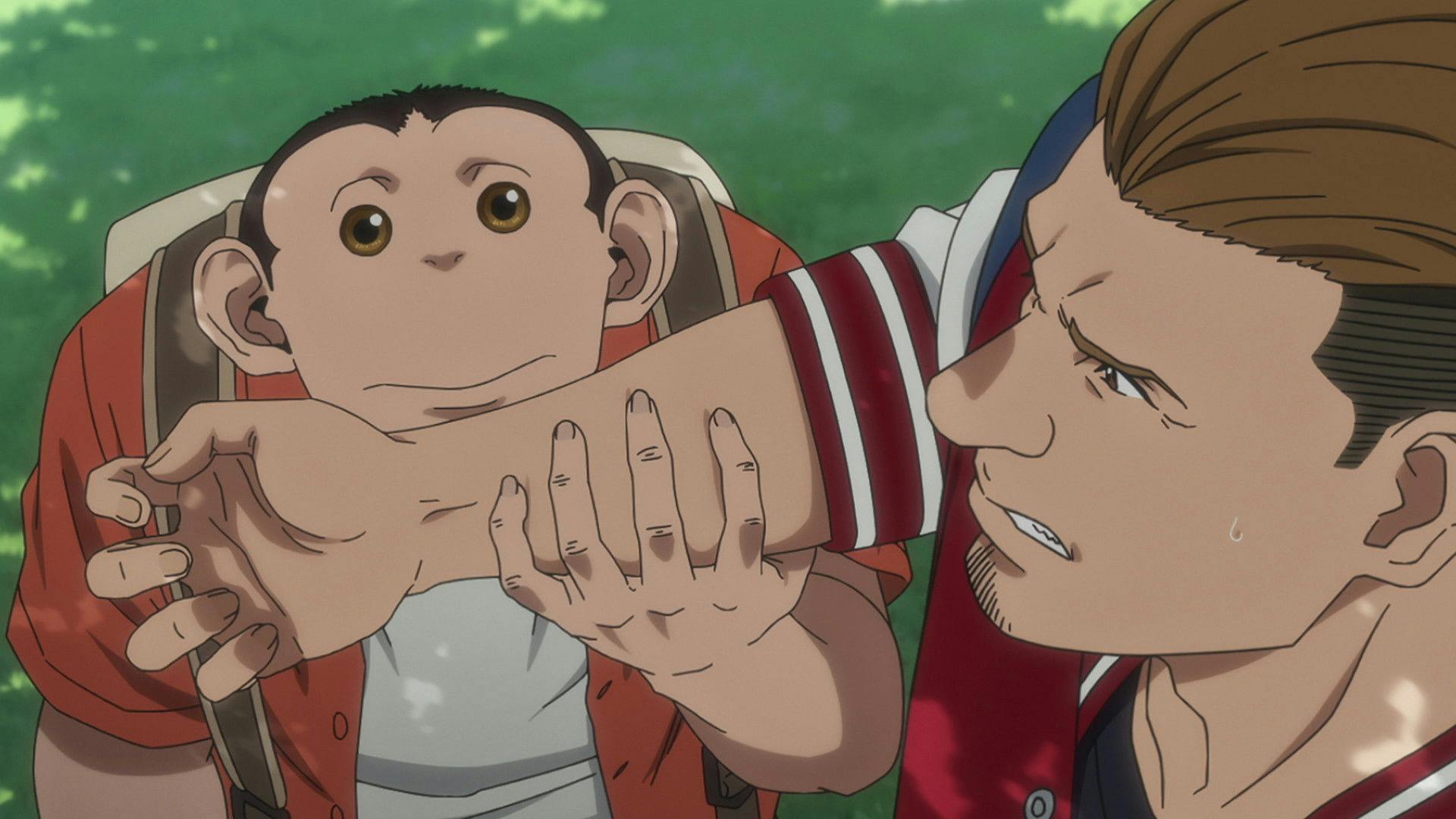 O Incidente de Darwin backdrop