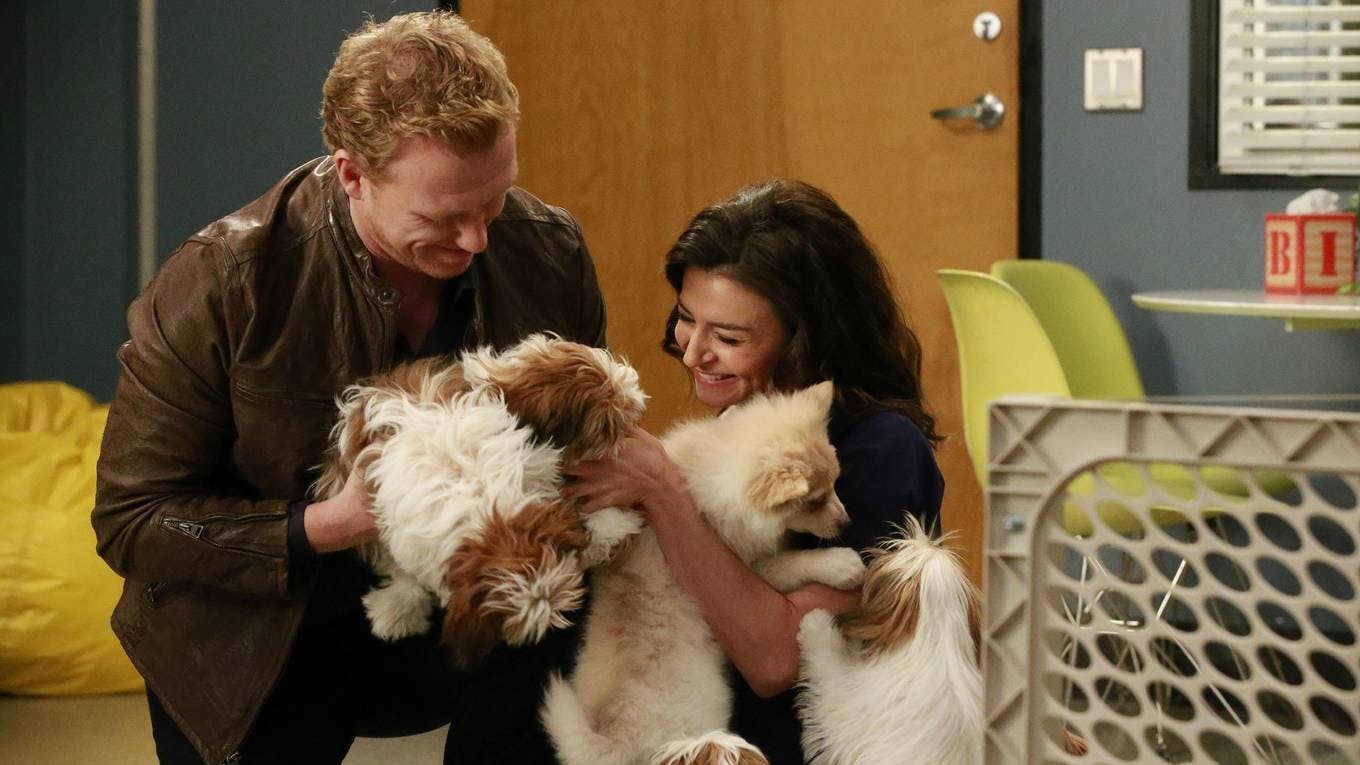 Grey's Anatomy - episódio 12x14