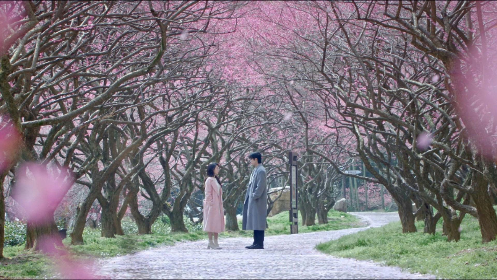 É Minha Luz - episódio 1x24