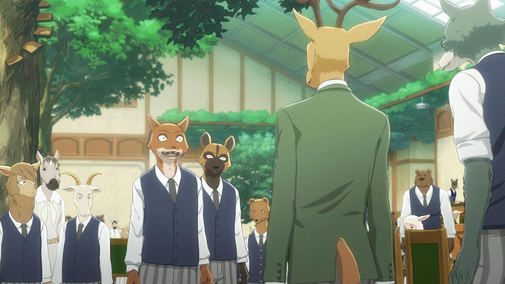 BEASTARS - O Lobo Bom - episódio 1x2