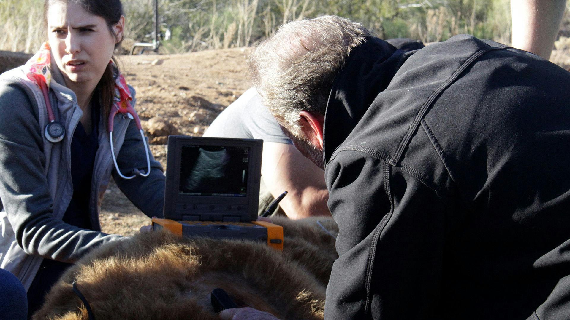 O Exótico Dr. Ole - episódio 1x5