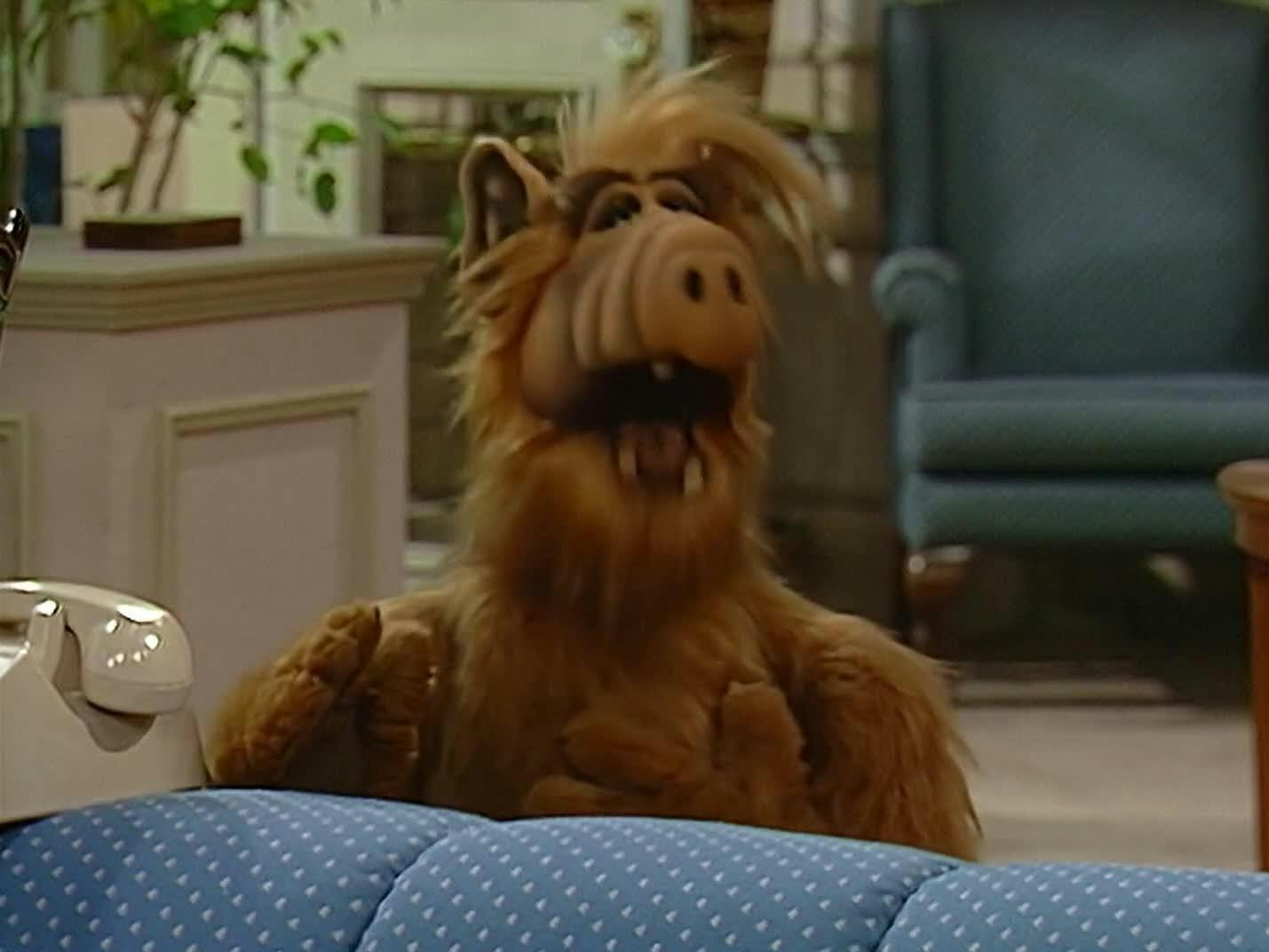 ALF, o ETeimoso - episódio 1x18