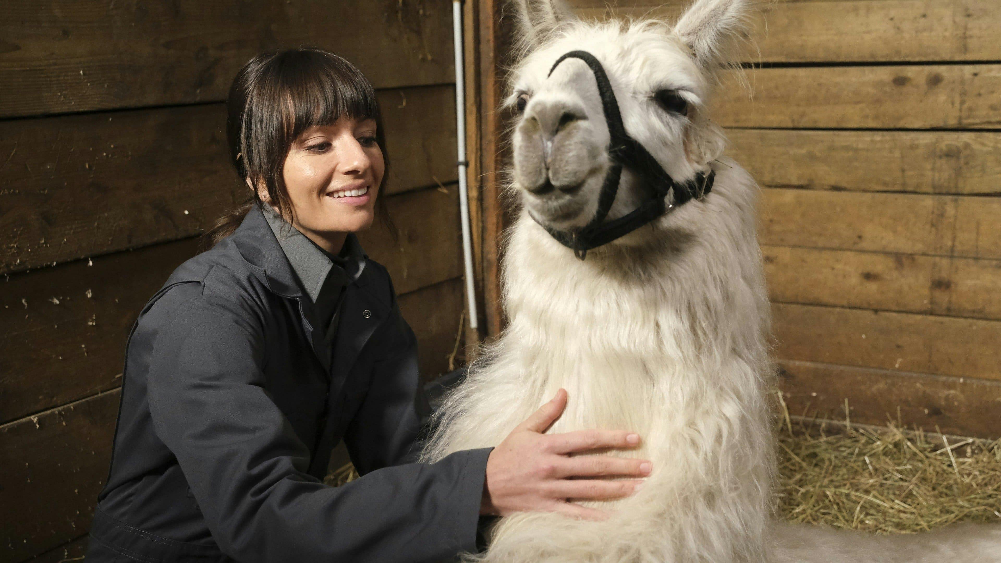 Animal Control - episódio 1x6