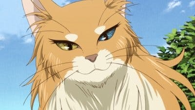 The Ancient Magus' Bride - episódio 1x4