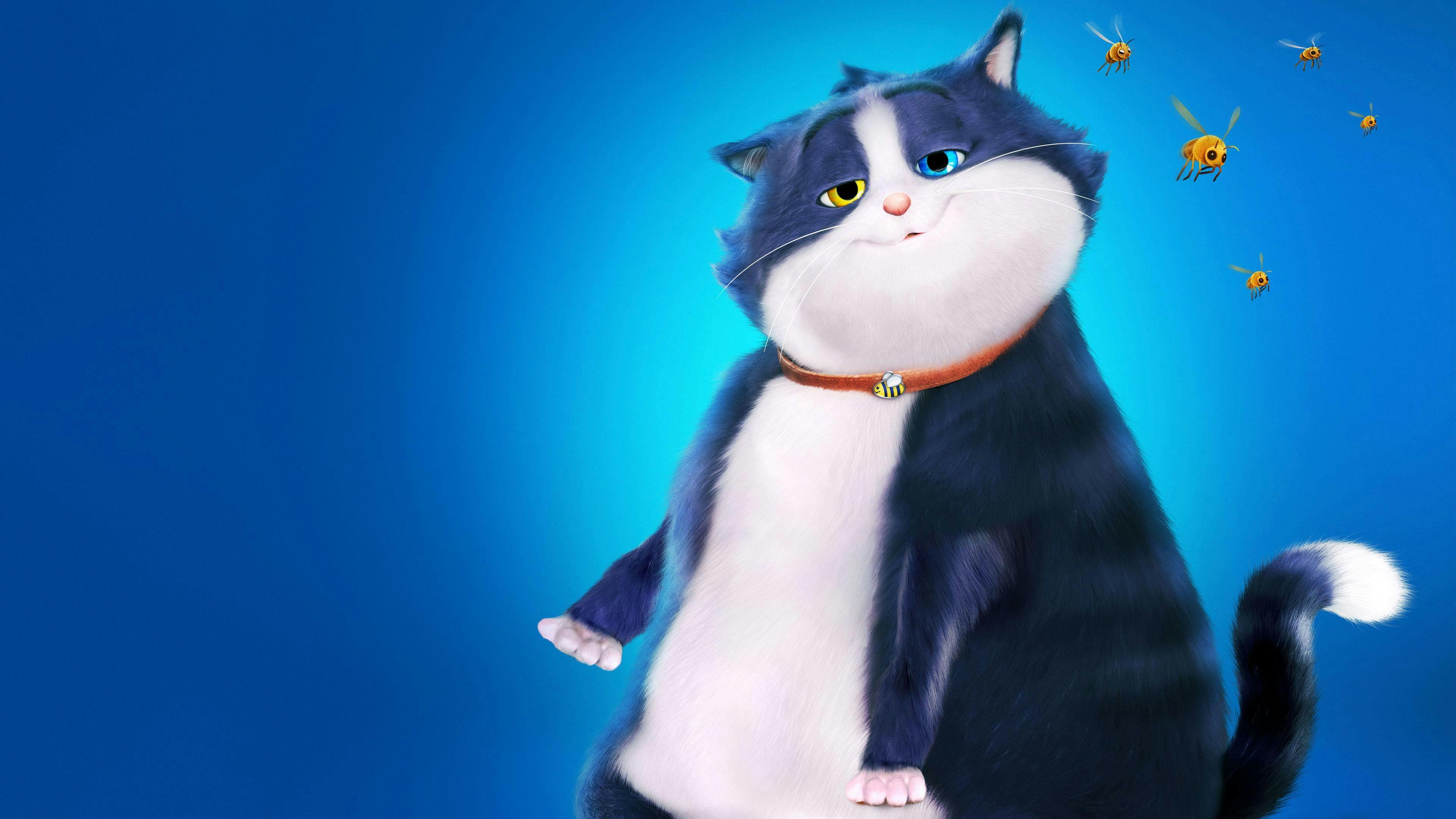 Um Gato de Sorte backdrop