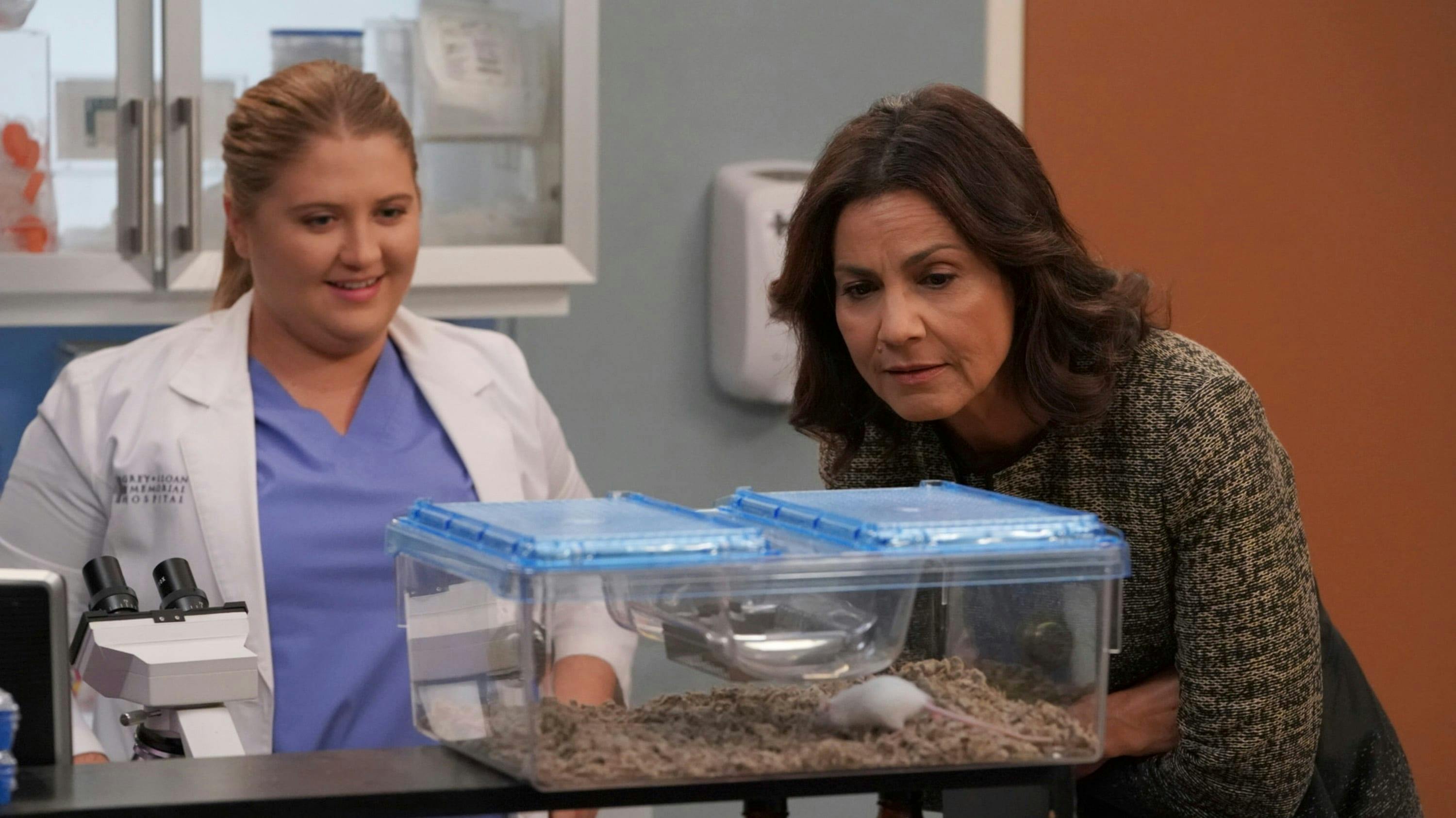 Grey's Anatomy - episódio 14x14