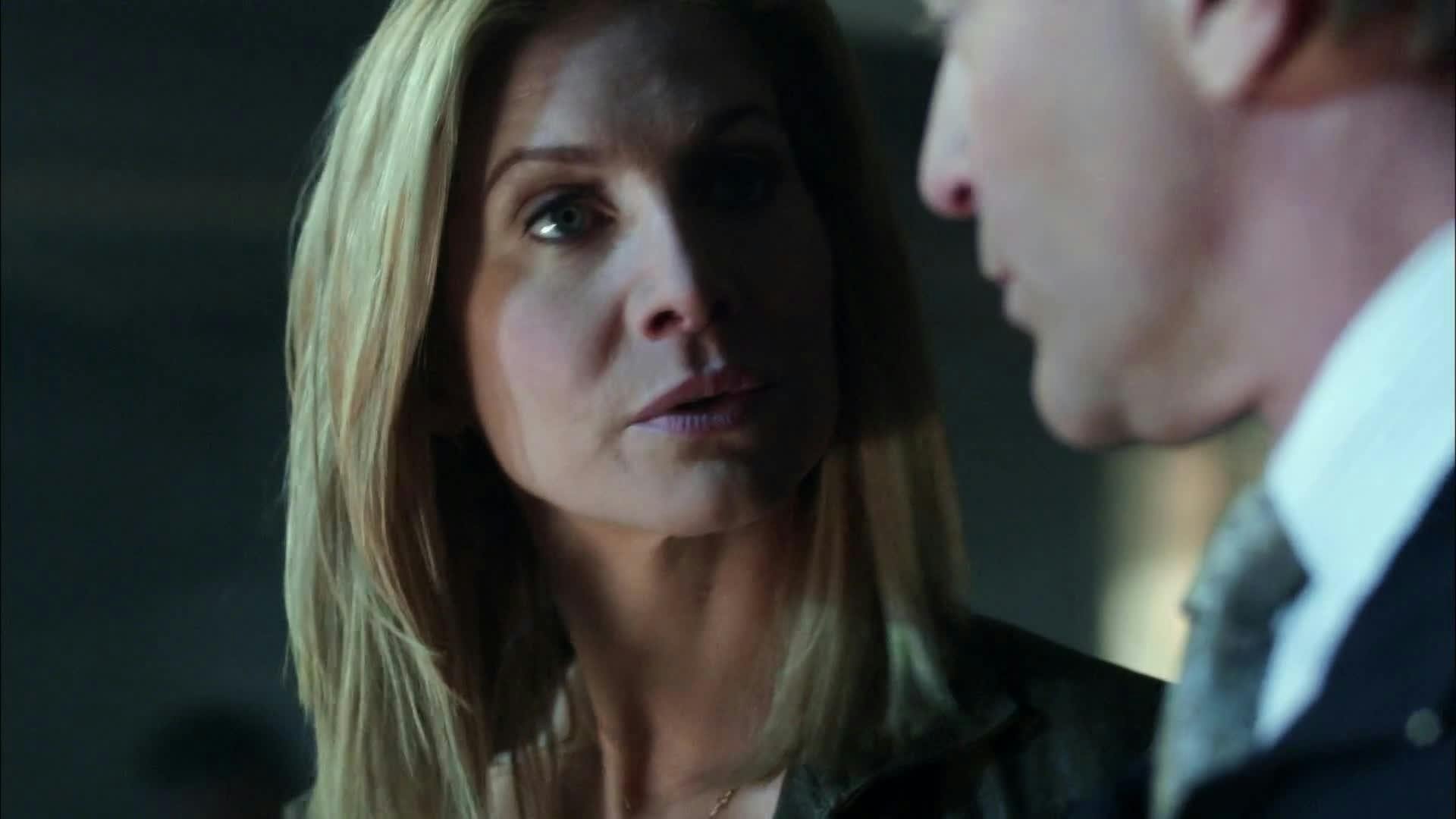 V - Visitantes - episódio 1x8