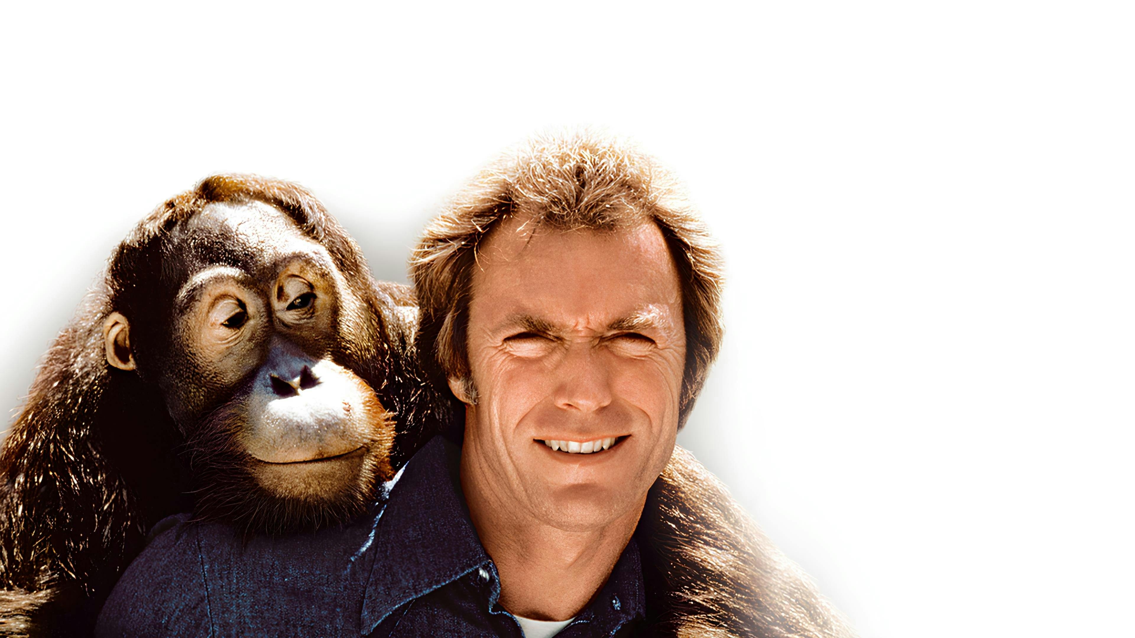 Punhos de Aço: Um Lutador de Rua backdrop