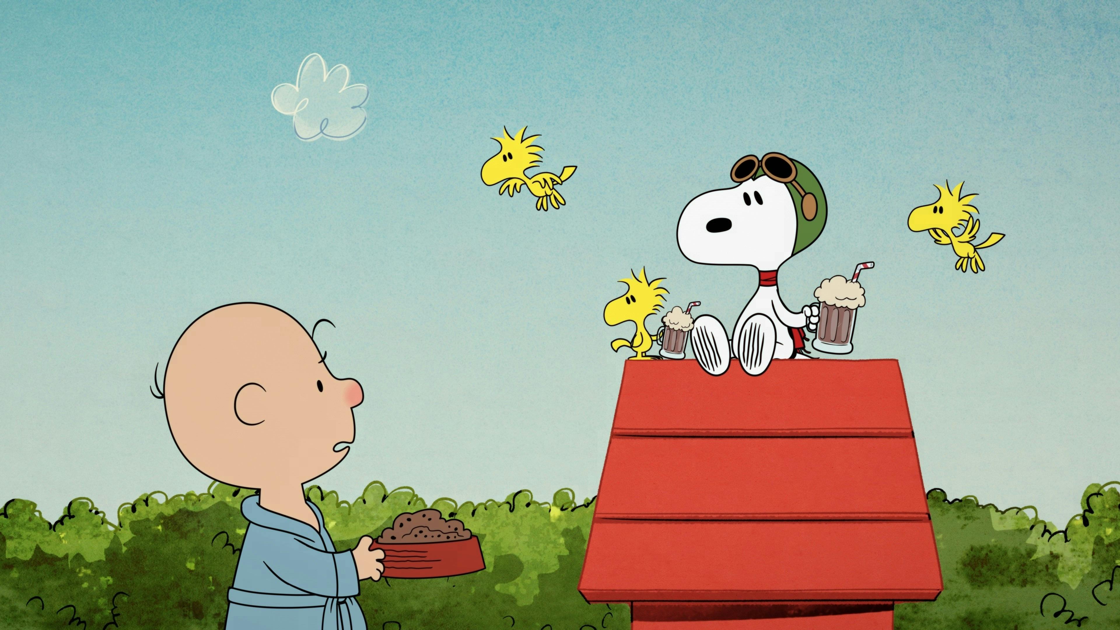 Nunca Irrite o Snoopy.
